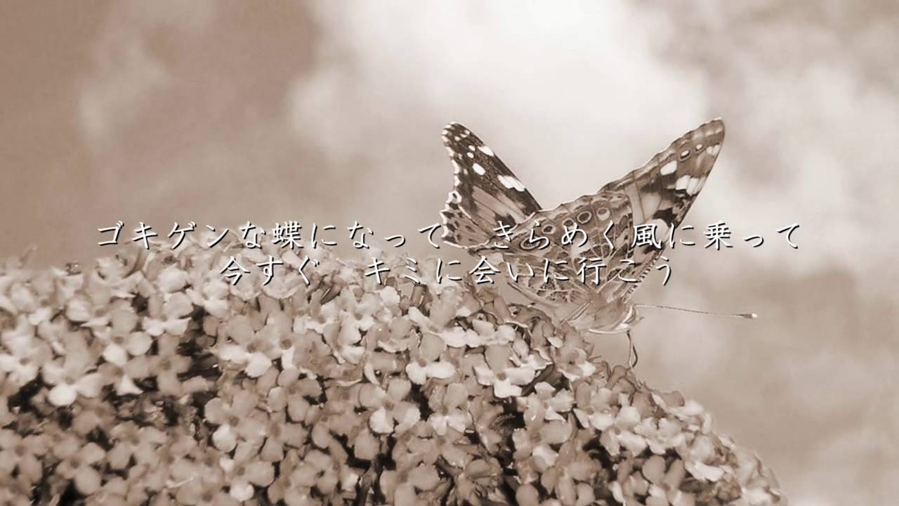 maxresdefault.jpg?sqp=-