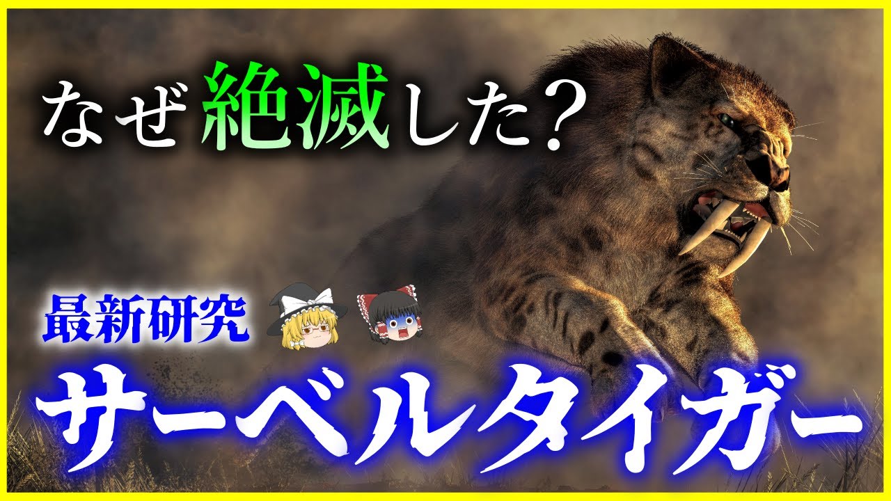 Slow commentary] Weaker than lions?! Latest research explains the