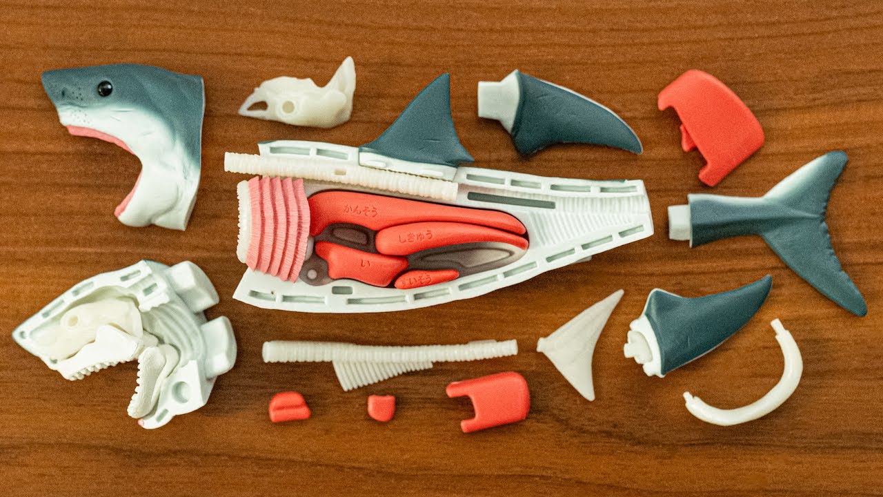 ホホジロザメ解体パズルで食す！大量サメグッズ Great White Shark
