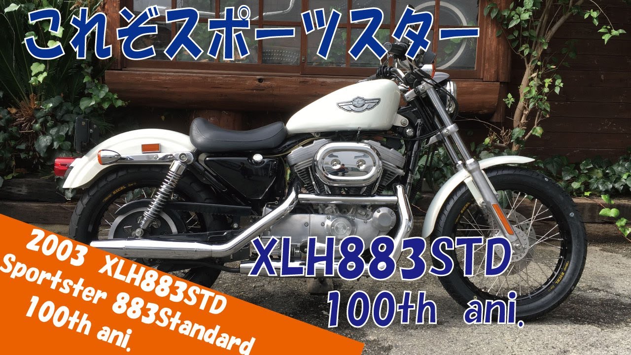 Used Car Introduction (Sold) 2003 Model XLH883STD Sportster 883