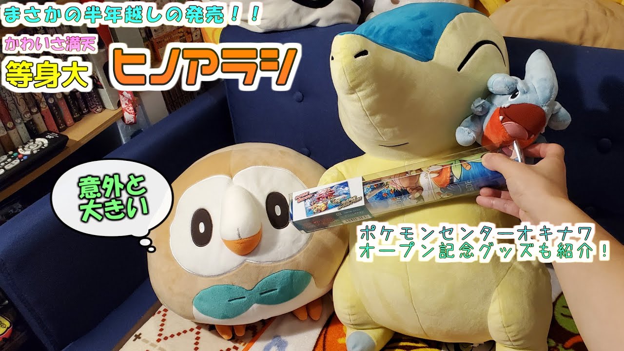 ポケモンセンター】まさか出るとは思ってなかった等身大ヒノアラシの