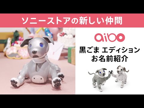 ソニーストアの新しい仲間 aibo 黒ごま エディション お名前紹介
