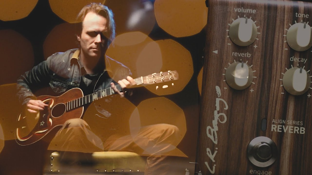 Align Series Reverb Acoustic Pedal — LR Baggs