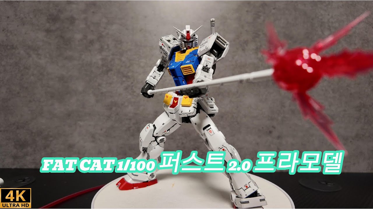 FATCAT First 2 0 Frame Assembly and Simple Painting - YouTube