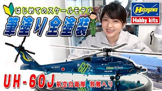 Hasegawa] The JASDF 