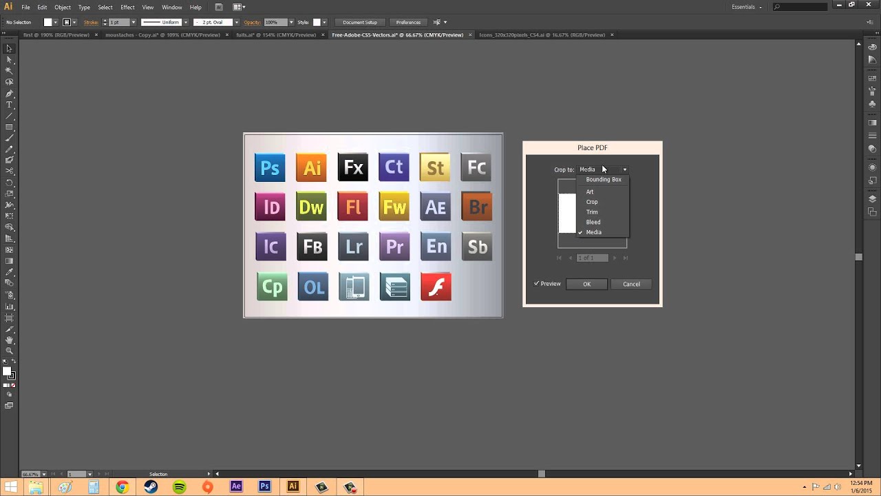 Adobe Illustrator CS6 for Beginners - Tutorial 6 - Inserting an