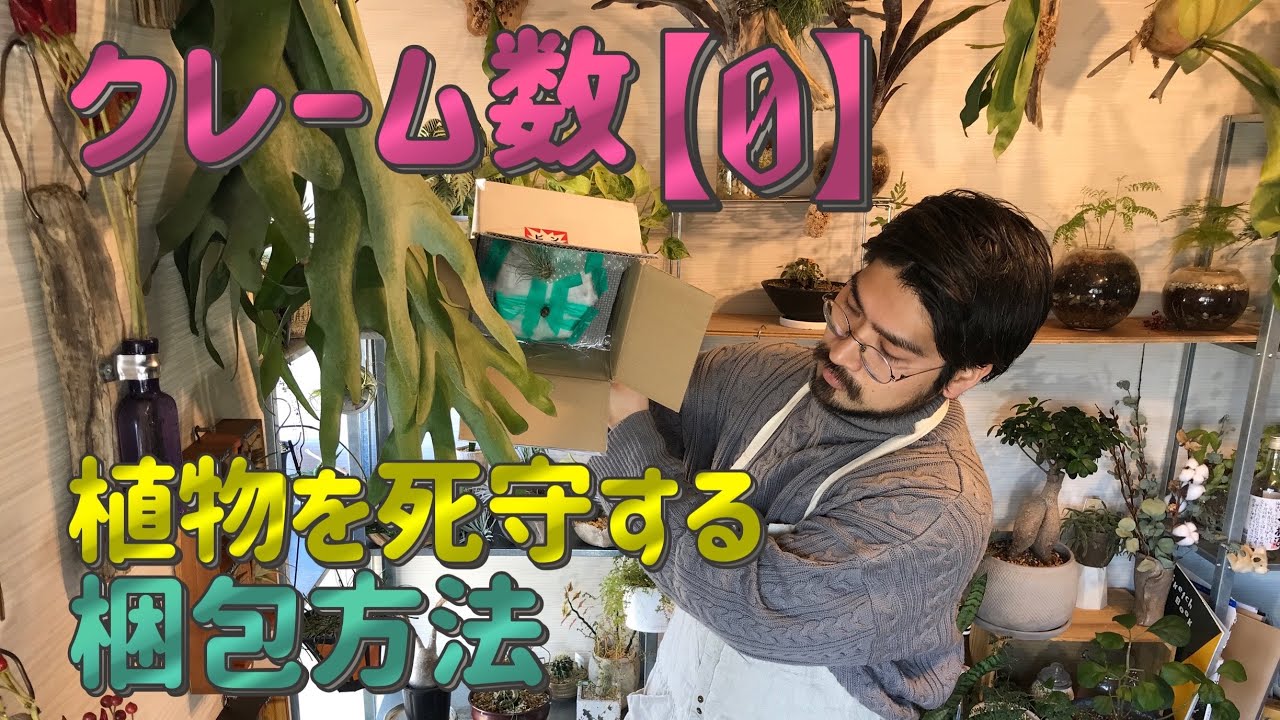 郵便局員も唸る!?鉢植え植物の梱包方法投げられても落とされても土が出