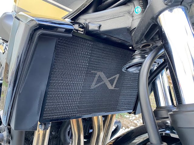 KAWASAKI ZRX1200 DAEG A-TECH ラジエーター コアガード ペイントと