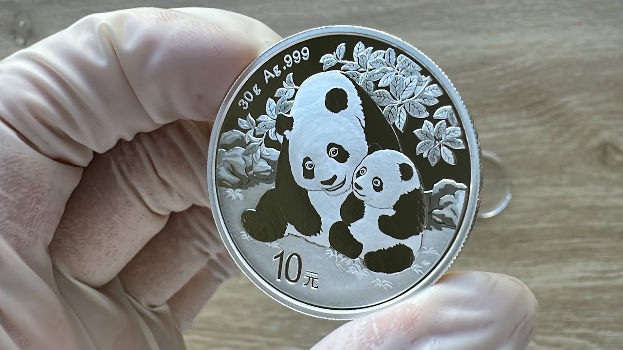 2024 30 Gram Silver Chinese Panda Coin - YouTube