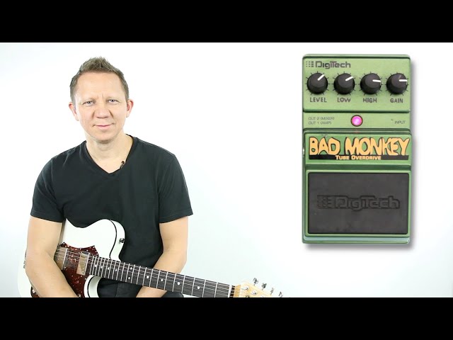 Digitech Bad Monkey Mid Driver - YouTube
