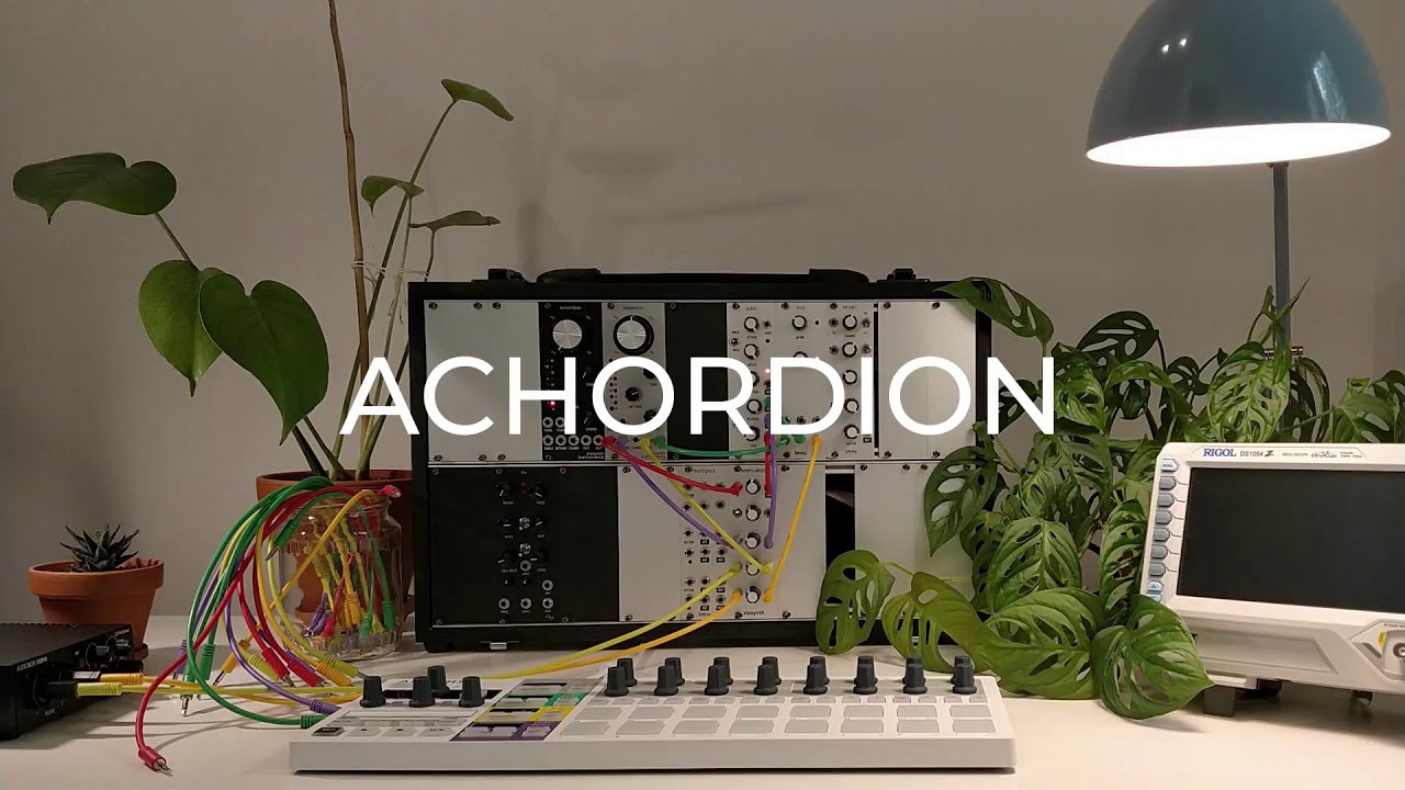 Achordion – beatsville
