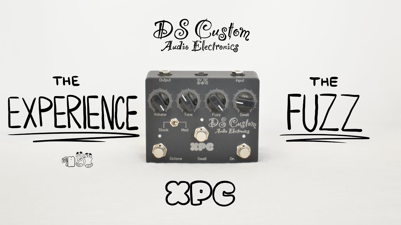 DS Custom Audio Electronics XPC | THE modded clone of Prescription