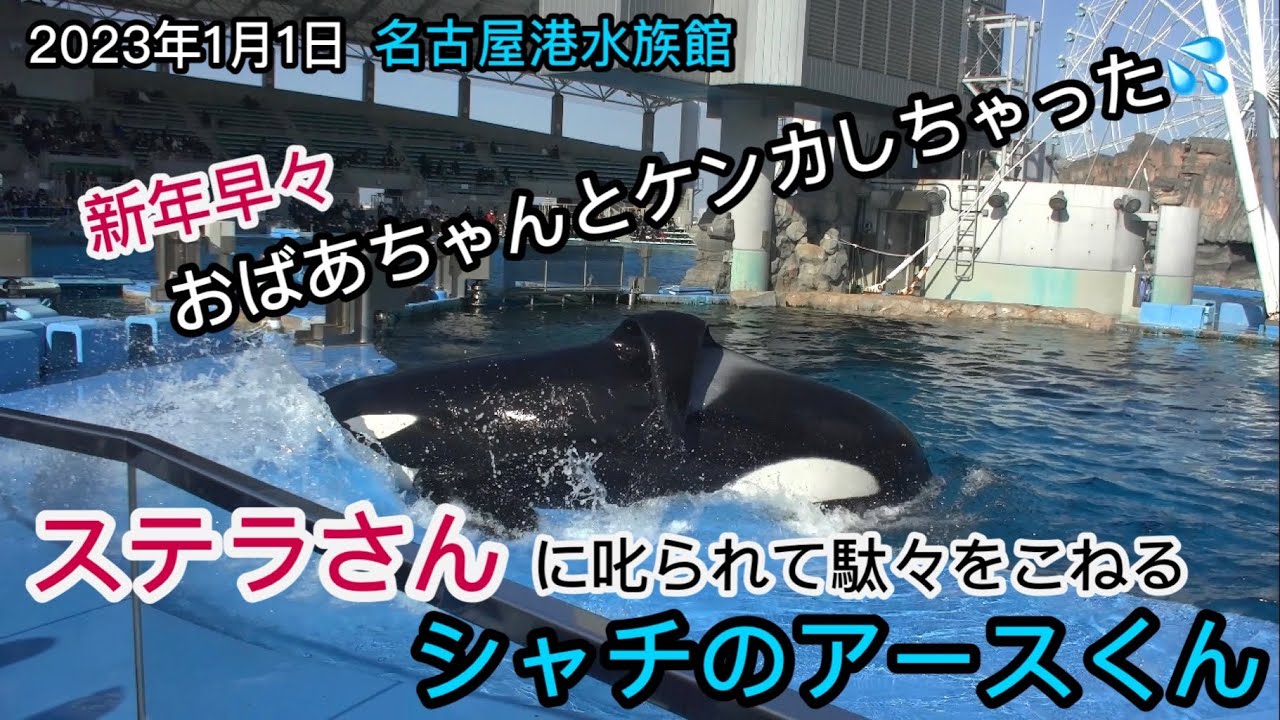 新年早々おばあちゃんと朝からケンカしちゃったアースくん💦【名古屋港