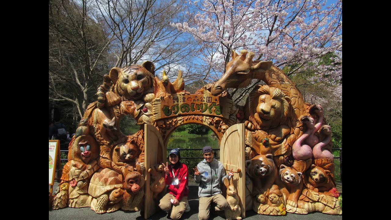 開園20周年記念 到津の森と木の動物たち2022☆到津の森公園 - YouTube