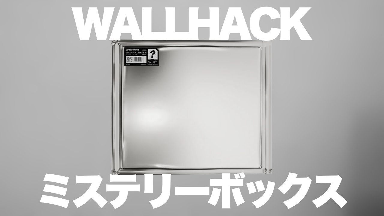 When I opened the WALLHACK mystery box, the contents were a