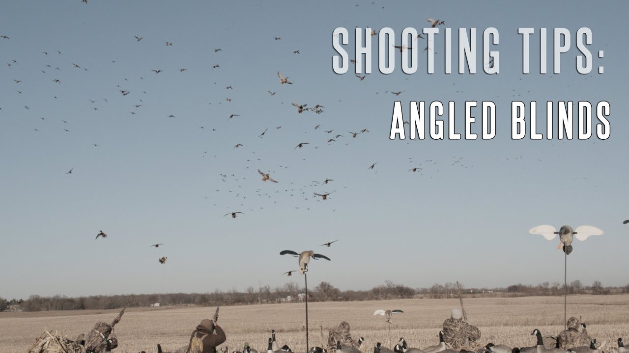 Angled Blinds When Waterfowl Huntingt: Shotgun Wing Shooting