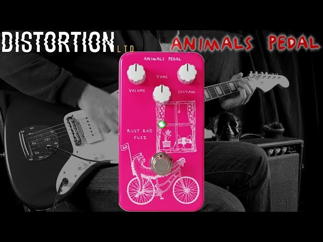 Distortion Ltd. In Focus: Animals Pedal Rust Rod Fuzz - YouTube