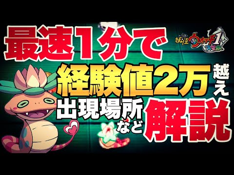 妖怪ウォッチ1スマホ】妖怪ウォッチ1史上1番効率よく経験値が稼げる