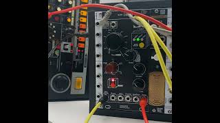 Holocene Electronics Non-Linear Memory Machine - Eurorack Module