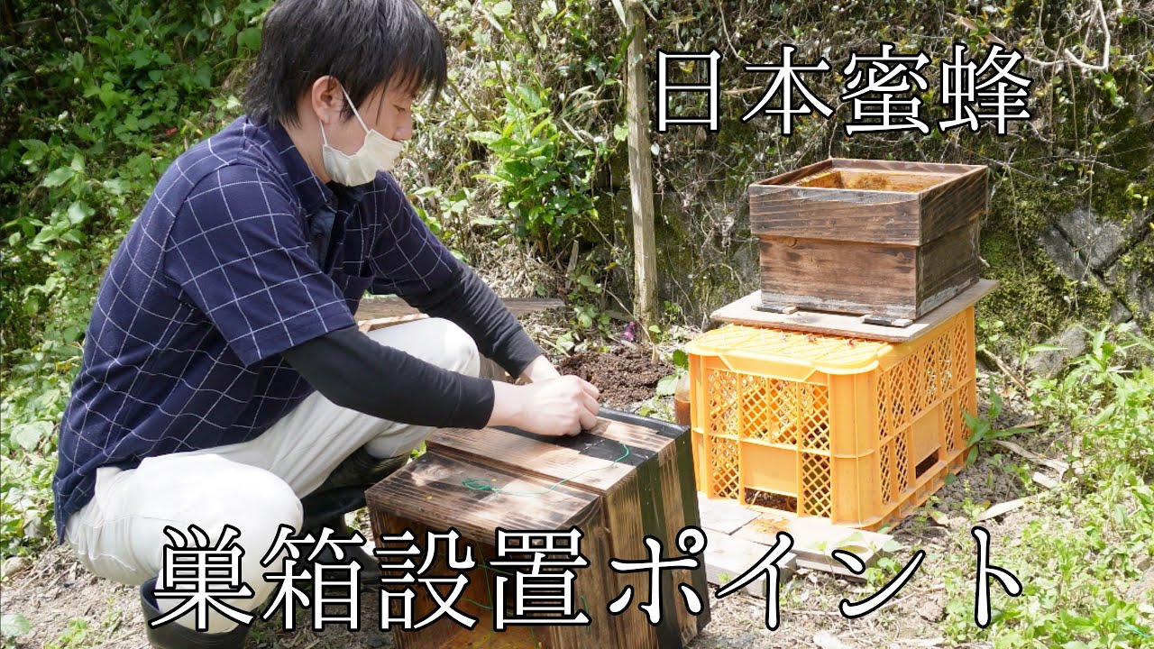 Characteristics of beehives and 7 recommended locations for
