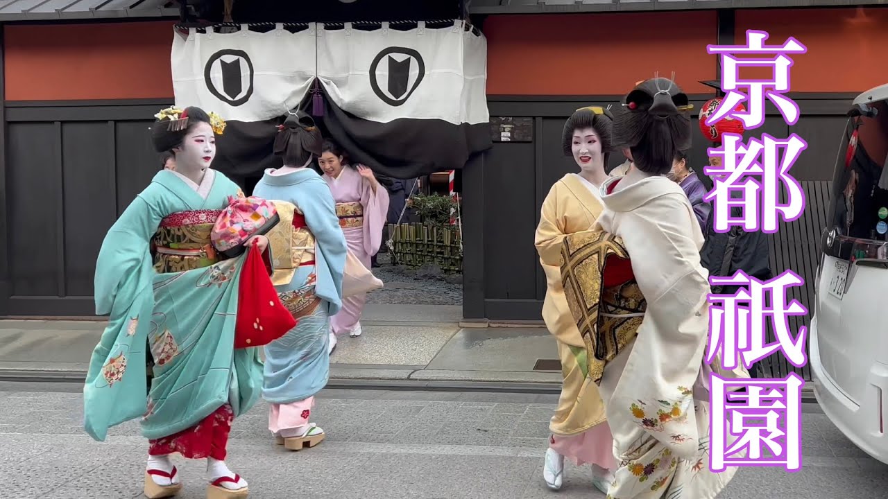 4K】京都祇園 花見小路を往く舞妓さんたち Maiko and Geisha in Gion
