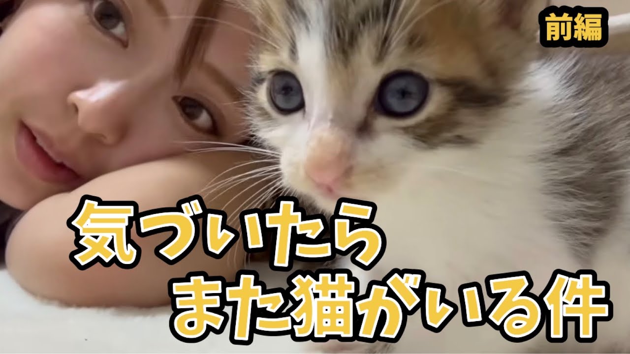 Rescue Cat Care] I suddenly realized there was another cat #Part 1