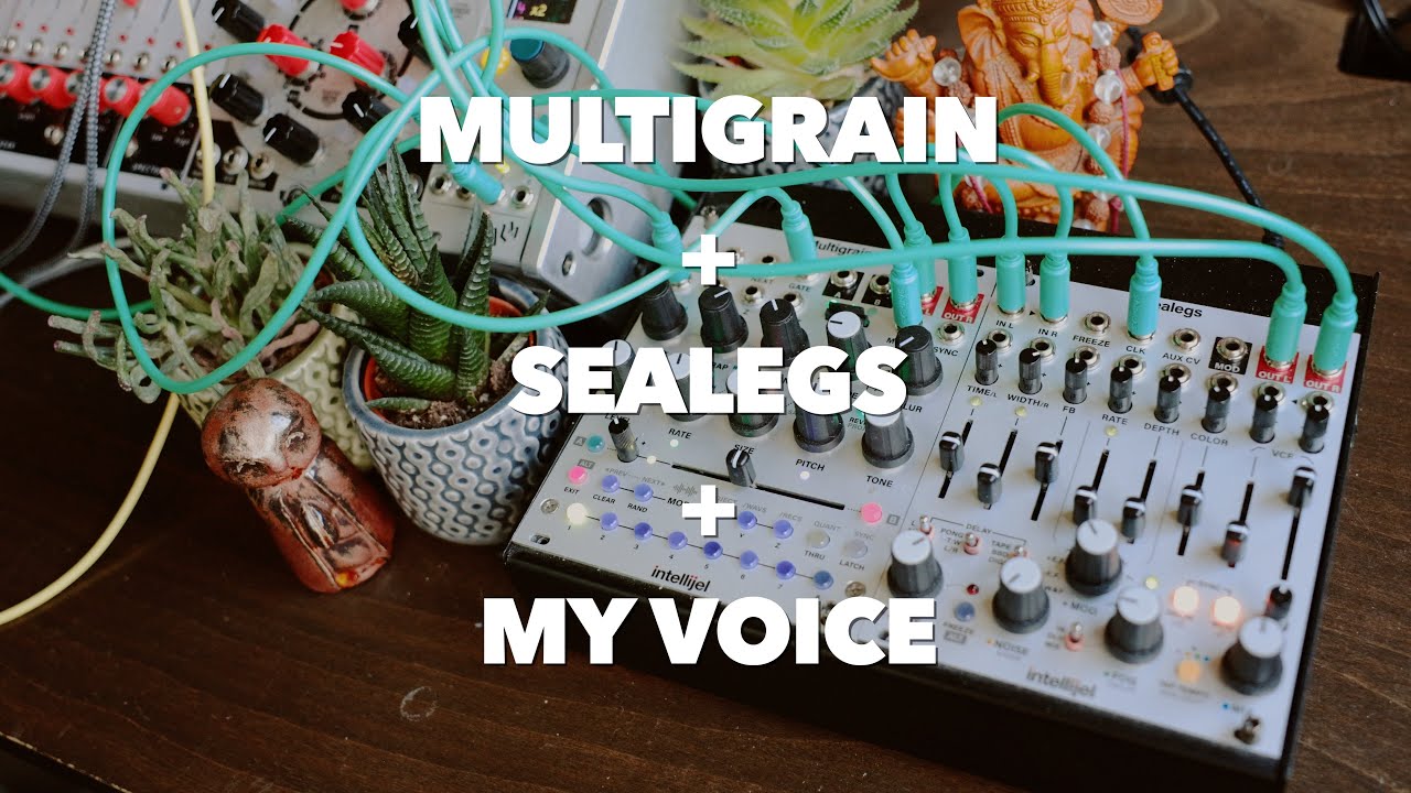 Intellijel Multigrain: Stereo Morphing Granular Sampler - YouTube