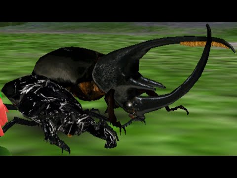 甲虫王者ムシキング タランドゥスツヤクワガタ & ネプチューン