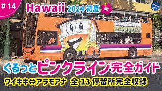 Hawaii Trip #14] Early Summer 2024 🌺 Complete Guide to the