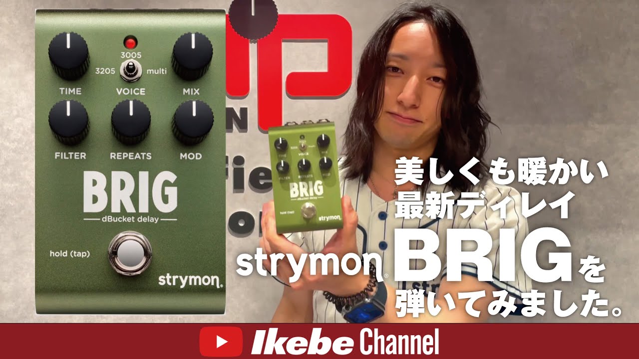 Strymon Brig |プロスタッフが奏でる美しく温かい最新ビンテージ