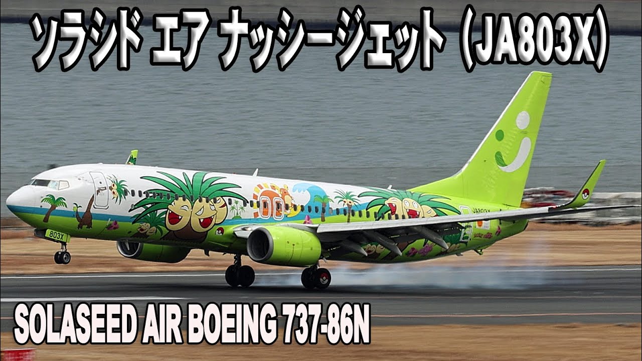 ソラシド エア ナッシージェット（JA803X）Solaseed Air Boeing 737