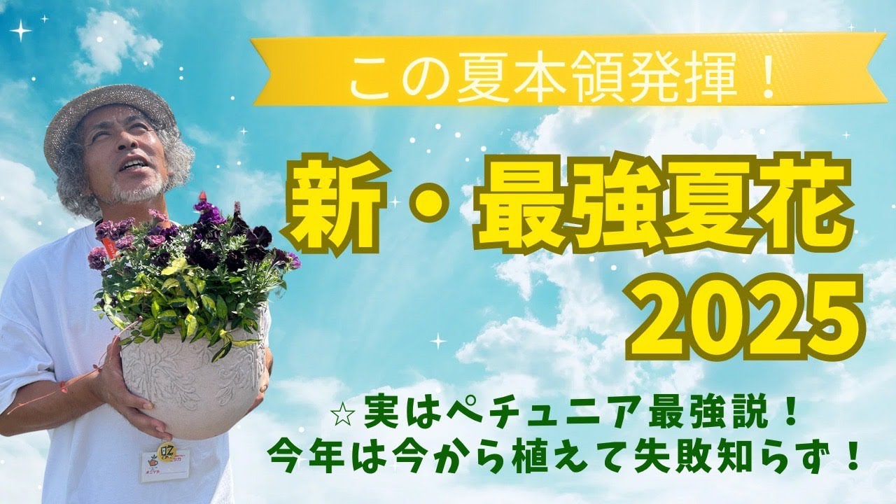 New Strongest Summer Flowers 2025] Actually the strongest