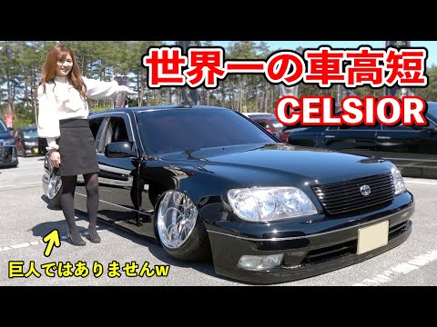 この屋根の低さ尋常じゃないw ガッツリ被ったタイヤの収納加工に驚き