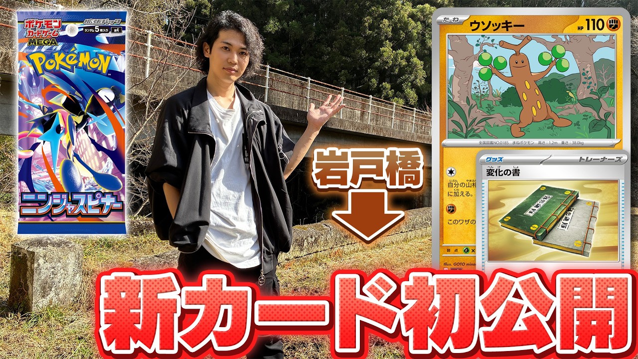 実物を紹介】ハッピーセットにポケモンが登場！可愛いおもちゃとプロモ