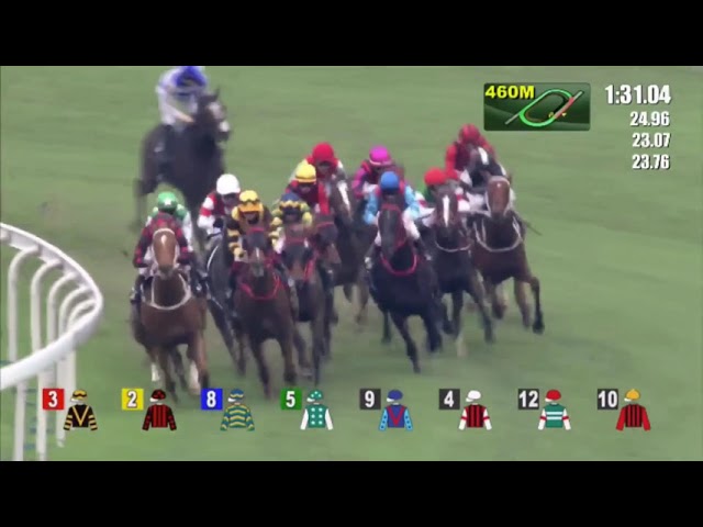 2006年 ドバイシーマクラシック ハーツクライ - YouTube