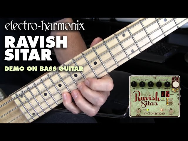 Electro-Harmonix Ravish Sitar Emulator Pedal (Bass Guitar Demo by