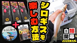 Light game] This tackle will definitely improve the direct feeling