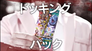 DMEX-09 デュエル・マスターズTCG Wチームドッキングパック チーム