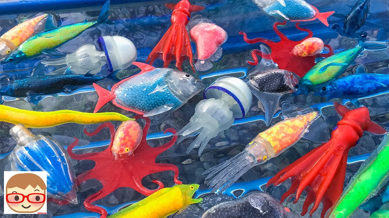 Sea Monsters & Co. Big! Huge shark, octopus, squid, crab and sea