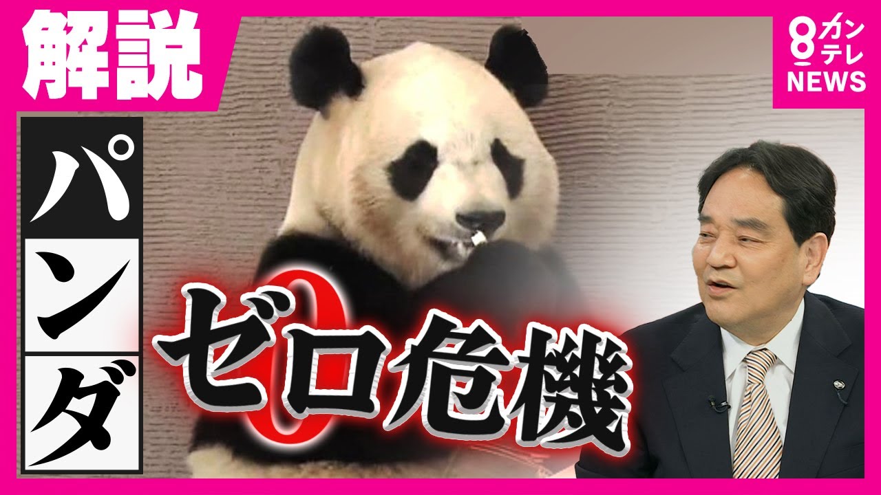 Zero Crisis: Are the Pandas a 