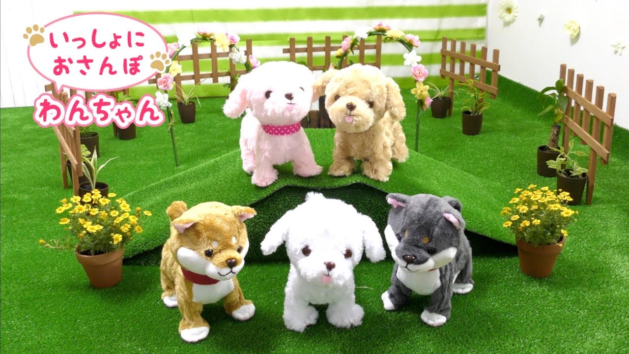 Mother Garden: Let's go for a walk together and play in the dog