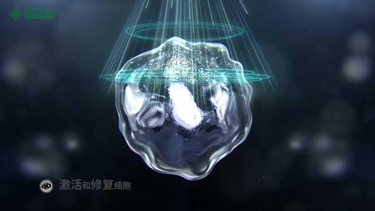 OLYLIFE INTERNATIONAL