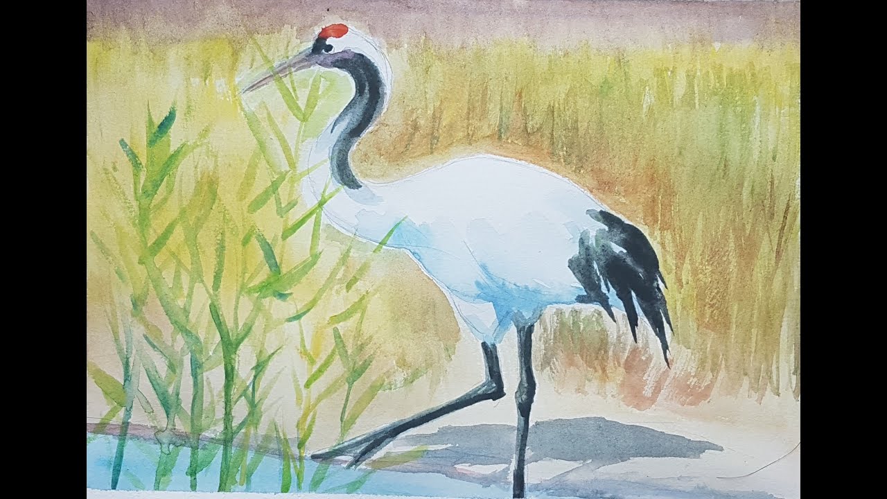 N079水彩仙鹤Watercolor Animal Crane - YouTube