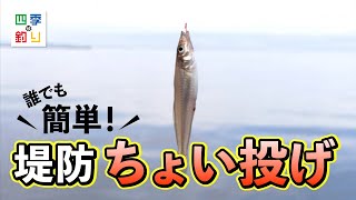 ぶっこみサビキセット | 釣り｜海釣り仕掛｜渓流仕掛｜釣り針の（株