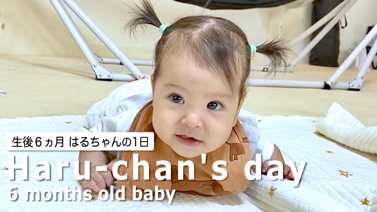 作業用】はるちゃんの1日 - YouTube