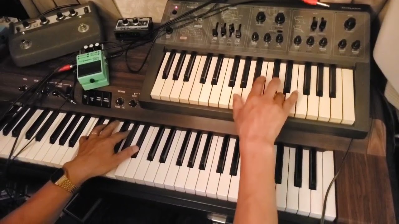 Technics SY-1010 Synthesizer Evans Nova 400 Tape Echo & YAMAHA CP