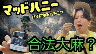 マッドハニー 本格的で高純度 生のヒマラヤ蜂蜜 | 日本へ発送