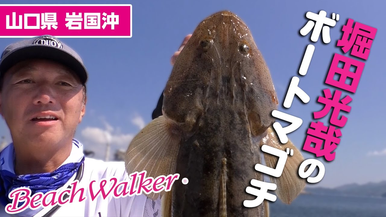 Beach Walker Haul - SALT｜製品情報｜DUO International / ルアー