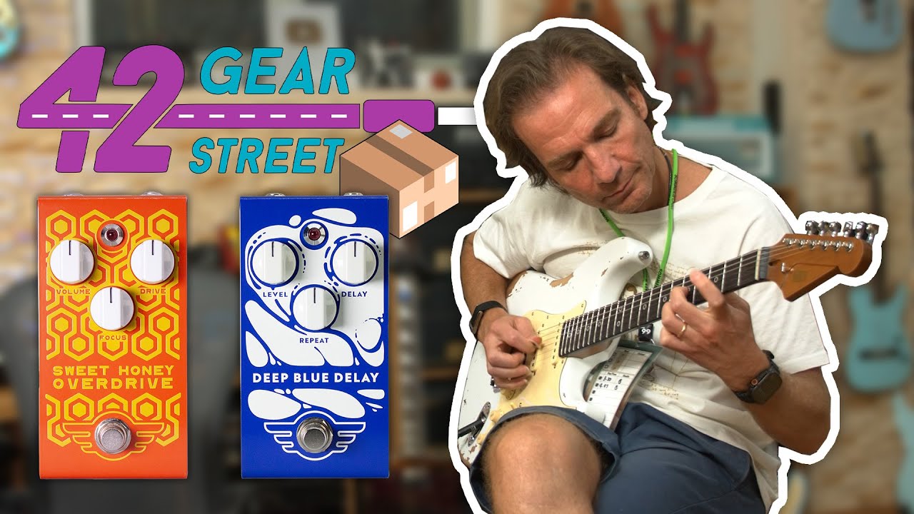 Deep Blue Delay Handwired | Mad Professor Amplification