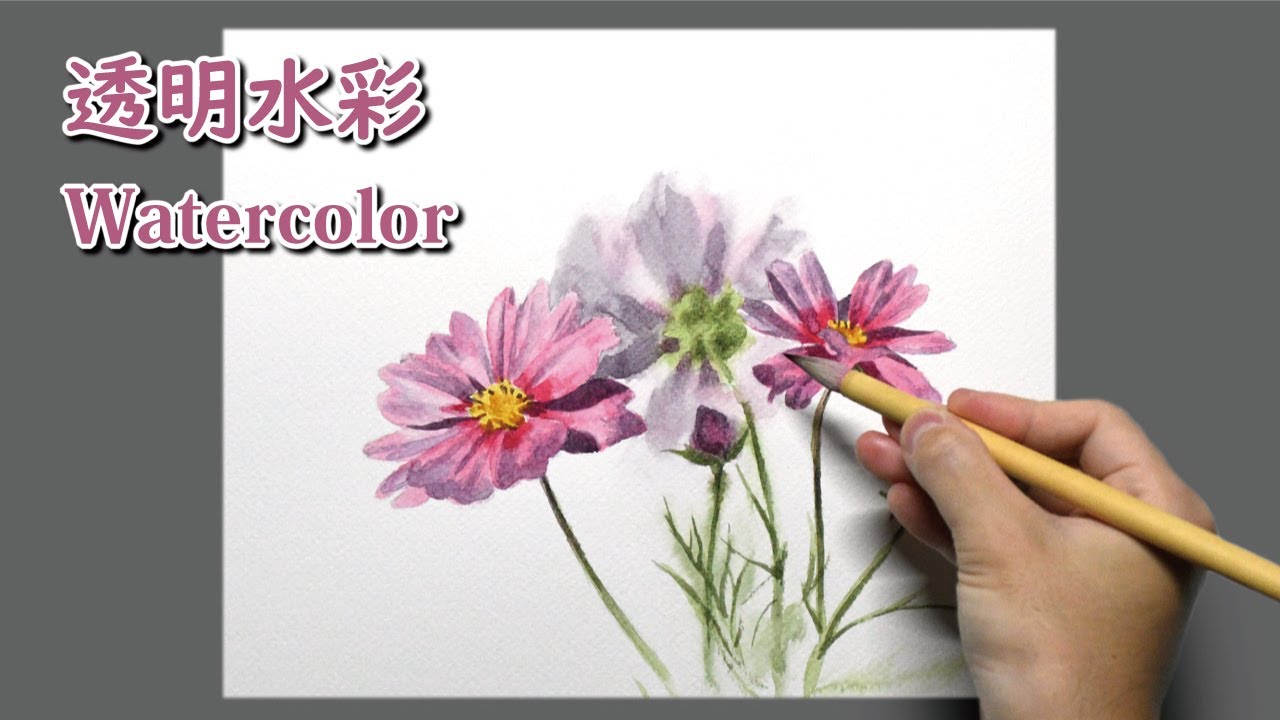 水彩画] 1時間20分で描くリアルなコスモスの花のメイキング | 描き方